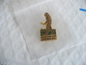 TZ- HARRISON HOT SPRINGS BC (BIG APE) ENAMEL PIN #43256 - Bild 1 von 8