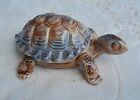 Vintage Wade Porcelain Turtle Tortoise Lidded Trinket Box Figurine Made England