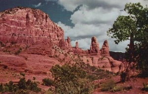 Oak Creek Canyon cerca de Flagstaff, Arizona - RPPC sin publicar - Imagen 1 de 3