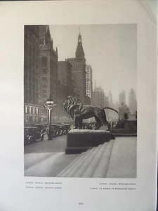 S Michigan Ave Lion Statue Art Institute Architecture Chicago 1927 Edward Hoppe - Picture 1 of 2