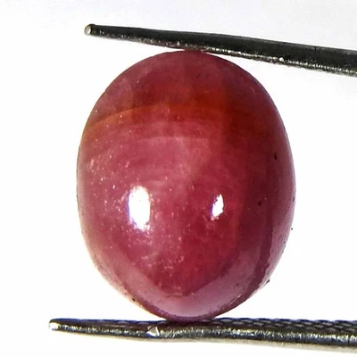 5.55Cts100%Natural Red Ruby Oval Cabochon Loose Gemstones - Image 1 of 3