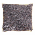 Nasiona lawendy Vervaco: 12,5 grama