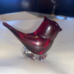 Kleiner Royal Cardinal Glasvogel - Bild 1 von 8