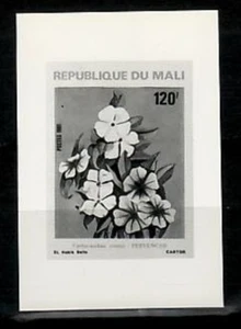 Photo Essay, Mali Sc418 Flower, Pervenche. - Picture 1 of 1