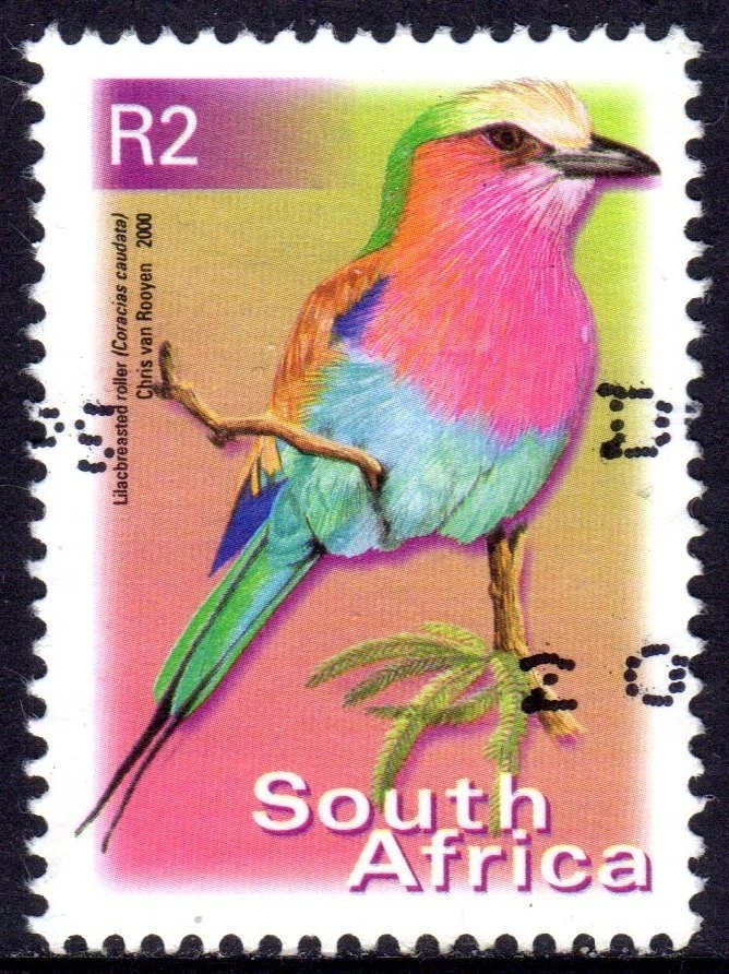 SOUTH AFRICA used     24/11 - Image 1 of 1