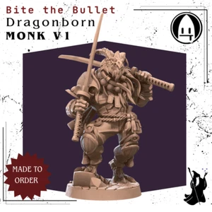 Monk V1 Dragonborn DnD Miniatura Impreso en 3D Fantasía Modelo D&D RPG Mini - Imagen 1 de 8