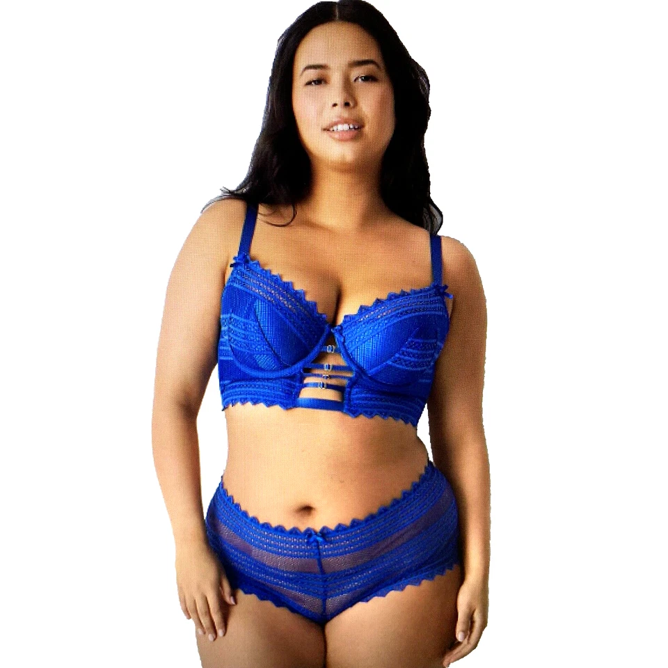 NWT Lane Bryant Royal Blue Sheer Striped Stretch Cheeky Panties in Size 1X 18 20 - Image 1 of 4