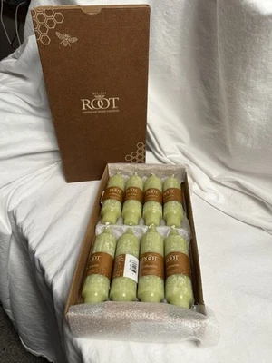 Root Collenette Green Beeswax Enhanced Dinner Candles 1.25x5” Box Of 8 - Image 1 of 4