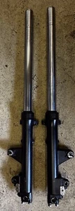 Honda CB1100F SC11 Bol d´Or Gabelrohre - Bild 1 von 6