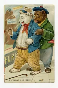 Illustrator Non Signed. Bear Humanized And Formal - Picture 1 of 2