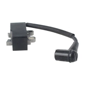 Bobina accensione PB-250 ES-250 PB-250LN PB252 sostituire bobine A411000500 per eco - Foto 1 di 7