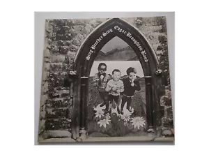 The Edgar Broughton Band – Sing Brother Sing - LP - Bild 1 von 4