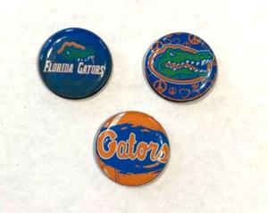 Beautiful Florida Gators inspired Set of 3 Magnets - Picture 1 of 1