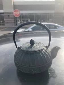 Cast Iron Chinese Teapot with Infuser for Loose Leaf Tea, 2 Cup - Picture 1 of 4