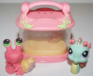Estuche accesorio Littlest Pet Shop #62 Ermit Cangrejo ojos verdes LPS caballo de mar 348 - Imagen 1 de 6
