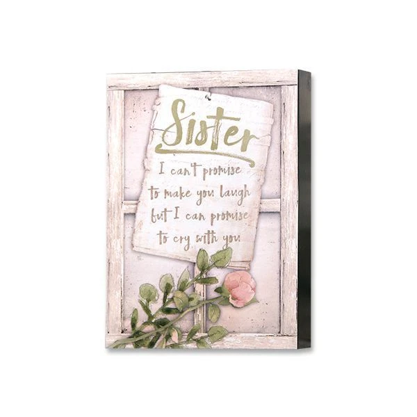 Cartel de caja de madera para hermana Laugh Promise Cry With You Blossom Bucket 5 x 7 rosa nueva Foto 1 de 1