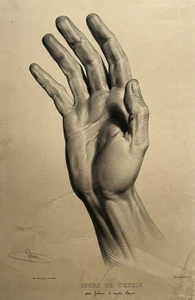 Etude Main LITHOGRAPHIE Julien COURT Cours Dessin XIX° - Picture 1 of 4
