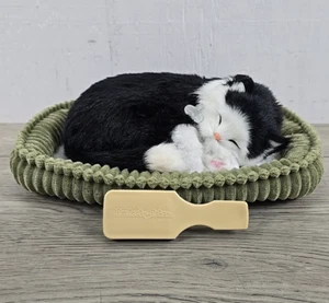 Perfect Petzzz 9" Black & White Tuxedo Breathing Sleeping Kitty Cat w/ Bed Brush - Picture 1 of 15