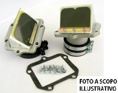 BOYRAD-02G CLAPET ATHENA HONDA CR 250 R 2003- 250cc - Photo 1/4