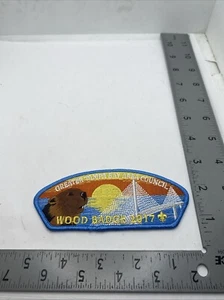 Greater Tampa Bay Area Council 2017 Wood Badge Beaver CSP Council Strip BSA - Picture 1 of 1