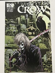 The Crow Death And Rebirth #4 IDW Comic Book Ashley Wood Cover