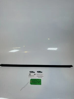 OEM 1994-2002 Dodge Ram Driver/LH puerta cinturón ventana tira climática 55135251 Foto 1 de 4