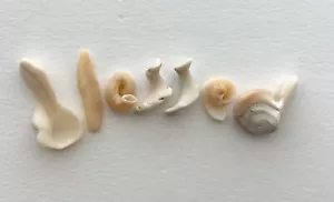 Frammento di conchiglia da spiaggia a forma di lettera naturale BENEDETTA ARTIGIANATO CIOTTOLI ARTE USA - Foto 1 di 11