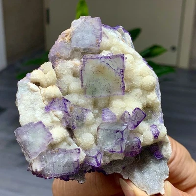 225G Natural Púrpura "Código QR" Racimo de Fluorita Cristal Mineral Espécimen/Guizhou Foto 1 de 4