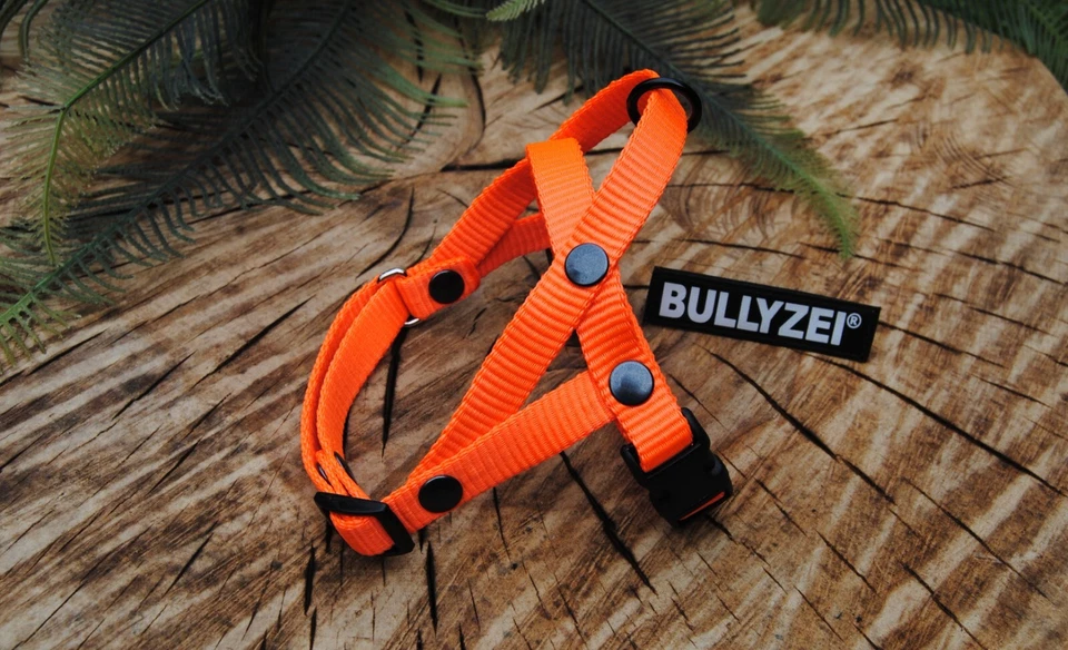 Bullyzei Norwegergeschirr Neon-Orange Gr.XS Dackel Terrier Welpe Chihuahua Pudel - Bild 1 von 1