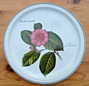 Piatto annuale Villeroy & Boch 1992, Camellia spettabilis, motivo N. Liex (~1850) - Foto 1 di 4