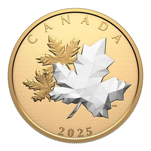 2025 Canada $50 Maple Leaves in Motion - 5 oz Pure Silver Coin - Imagen 1 de 5