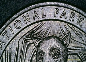 Moneda de error de chip de cuarto de troquel 2020-P  - Imagen 1 de 3