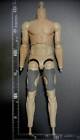DAMTOYS Model 1 6 Male Figure Body Special Arm Specification Long Joint Hig