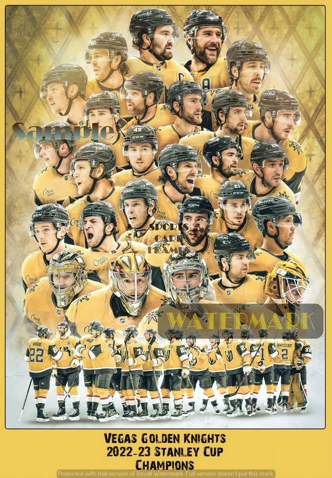 VEGAS GOLDEN KNIGHTS 22-23 CAMPEONES NHL (5 tallas) Foto 1 de 1