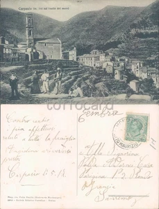 IMPERIA PROVINCIA-CARPASIO-D9-19 - Imagen 1 de 1