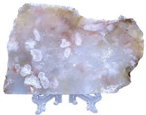 Gorgeous Flower Agate Slab w/Stand 5.49"/269 Grams - Picture 1 of 2