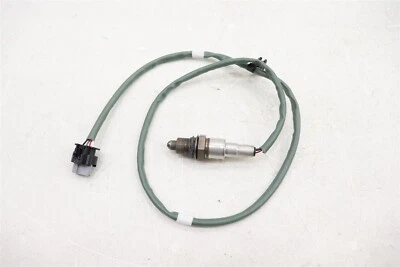 NUEVO OEM Ford O2 Sensor de Oxígeno LX6Z-9G444-P Escape Bronco Sport 1.5L 2020-2022 Foto 1 de 4