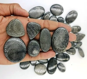 Natural Black Foosil Cabochon, Handmade Lot Loose Gemstone Wholesale Lot, 71776 - Picture 1 of 6