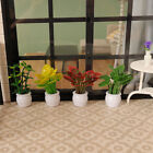 Doll House Mini Plant Model Mini Green Plant Potted Outdoor Landscape Flower Bed
