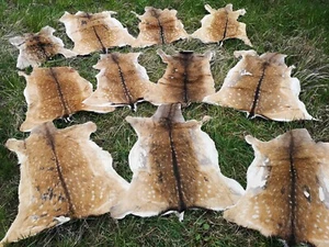Damwild Bambi ciervo ciervo salvaje piel de ciervo larpa cerveza medieval 2a elección - Imagen 1 de 6