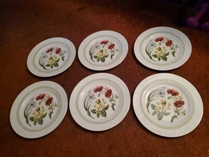 Juego de 6 platos de cena Spode Country Lane de 10,5 pulgadas - Imagen 1 de 6