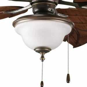 Ashmore Collection 2636 Two-Light Ceiling Fan Light - Picture 1 of 3