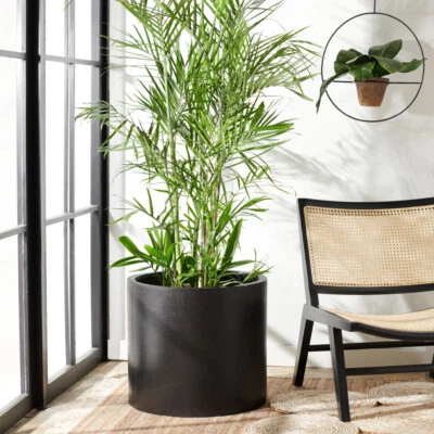 SAFAVIEH Outdoor Collection Alia Concrete Planter | Black | - Image 1 of 4