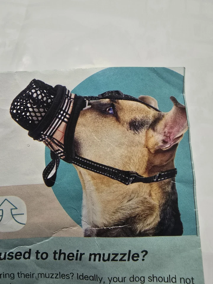 Raindee Dog Muzzle Nylon Soft Muzzle Anti-biting Barking Black Size Y1ww