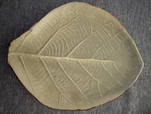 Vance Kitira Leaf Shaped Vein Pottery Plate Signed Made in Thailand 10x8 - Picture 1 of 3