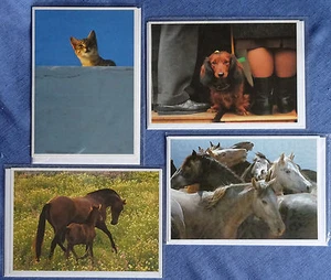 4 Postkarten Ansichtskarten Tierkarten mit Tiermotiv (4 verschiedene Motive) - Bild 1 von 1
