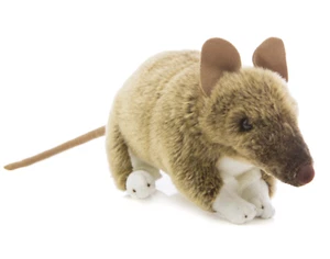 ~❤️~BOCCHETTA Bandicoot BERT 28cms 11" Plush Soft Toy Australian Native~❤️~ - Picture 1 of 4