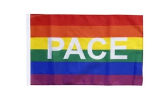 Regenbogen mit PACE Banner Friedens Fahnen Flaggen 30x45cm - Bild 1 von 1