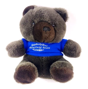 Vintage 90er Westfield State College Plüsch Teddybär im T-Shirt Stofftier - Bild 1 von 7