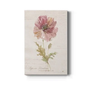 Soft Poppy Premium Gallery Wrapped Canvas - Ready to Hang - Picture 1 of 5